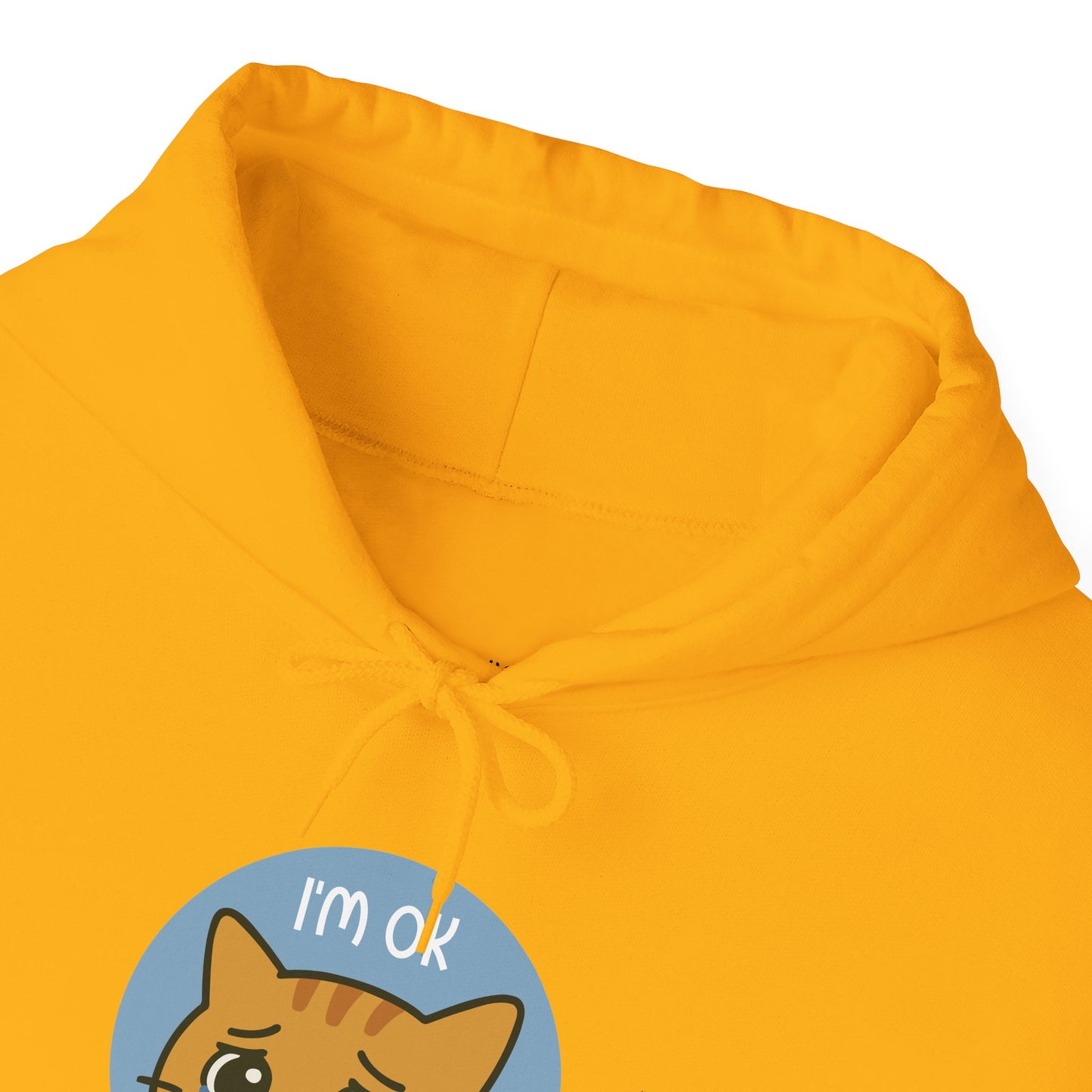 Hoodie: I'm OK (Unisex Heavy Blend™)