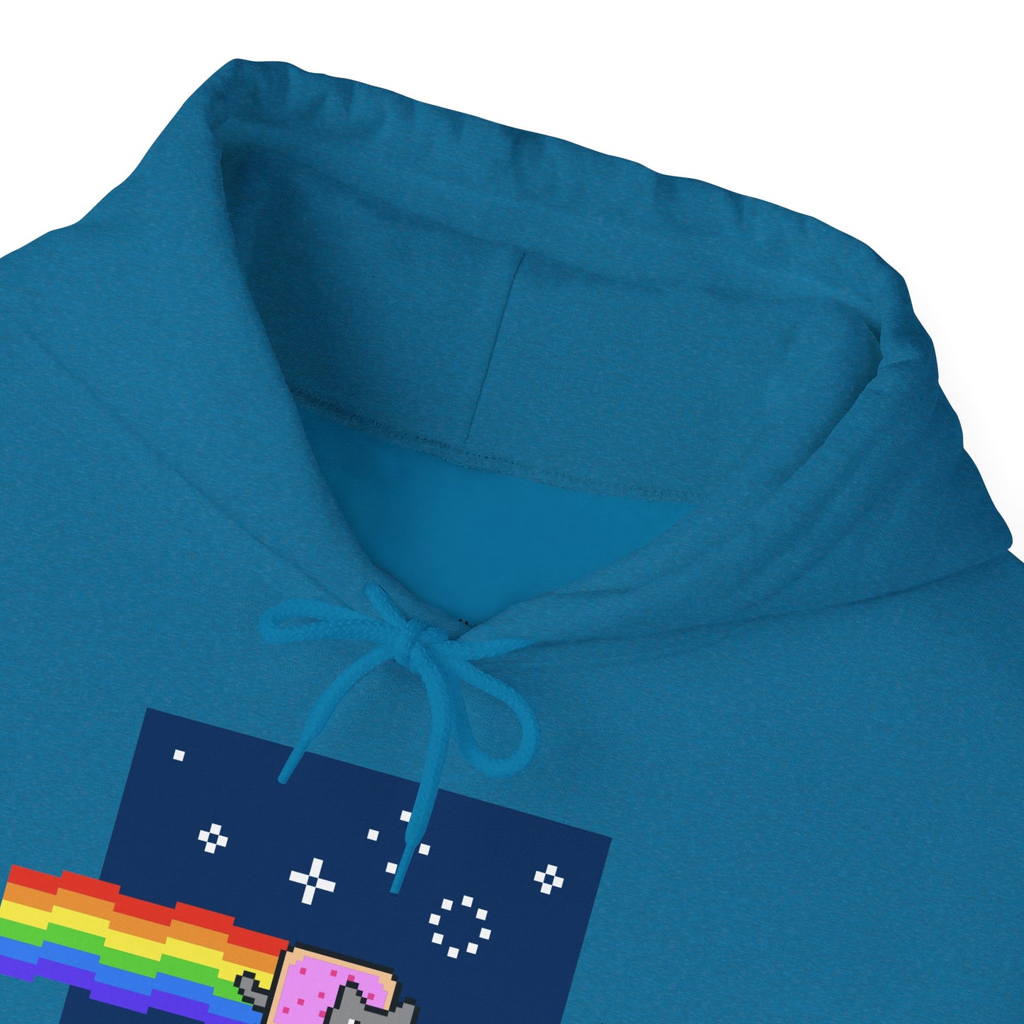 Hoodie: Nyan Cat (Unisex Heavy Blend™)