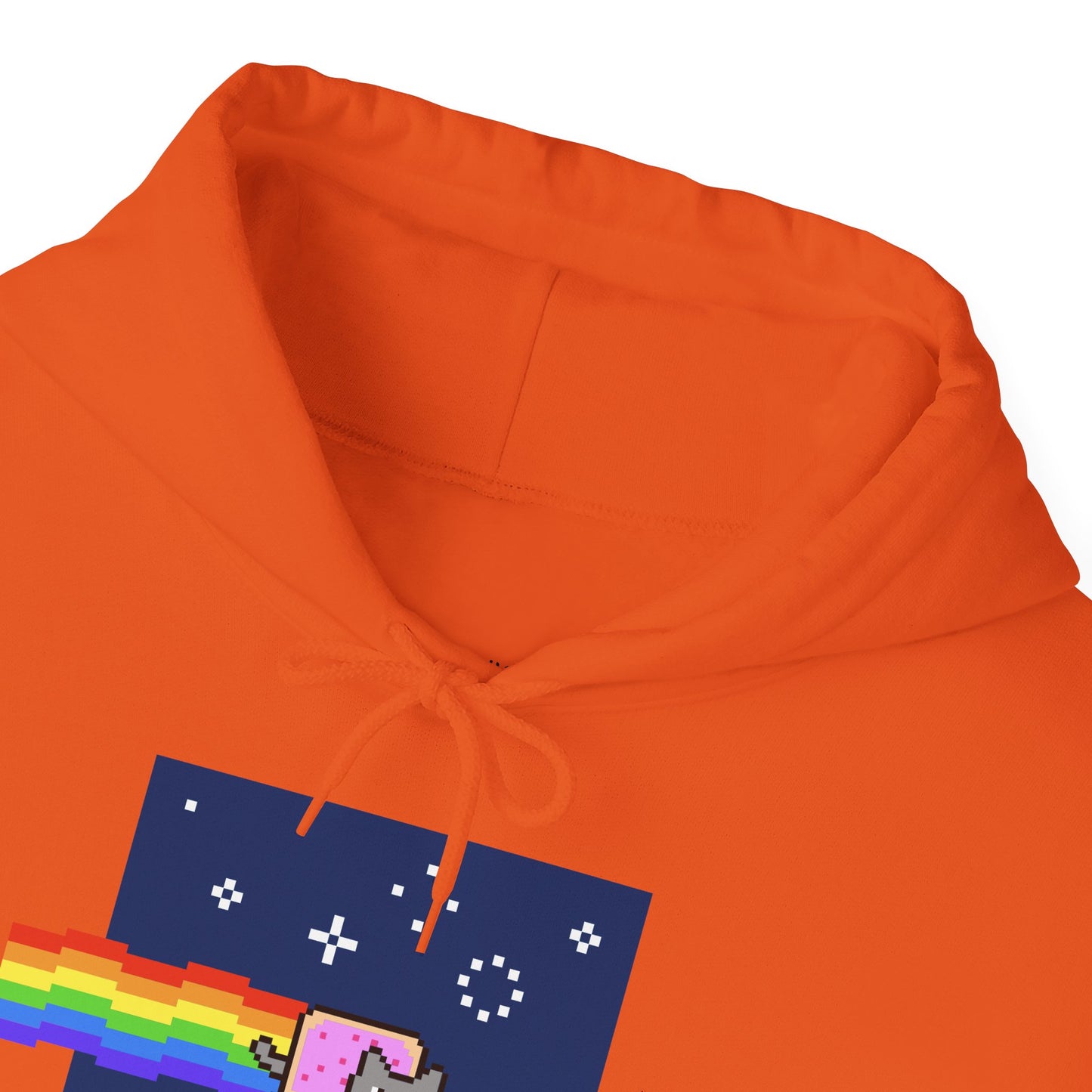 Hoodie: Nyan Cat (Unisex Heavy Blend™)
