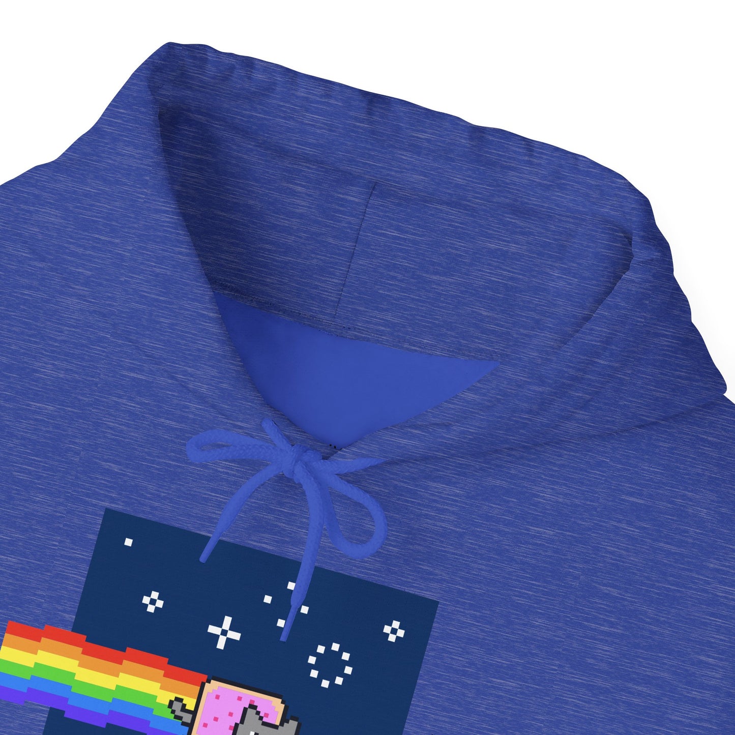 Hoodie: Nyan Cat (Unisex Heavy Blend™)